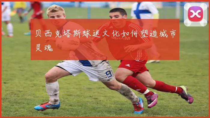 贝西克塔斯球迷文化如何塑造城市灵魂