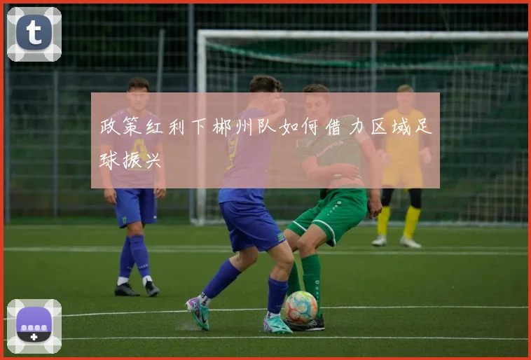 政策红利下郴州队如何借力区域足球振兴