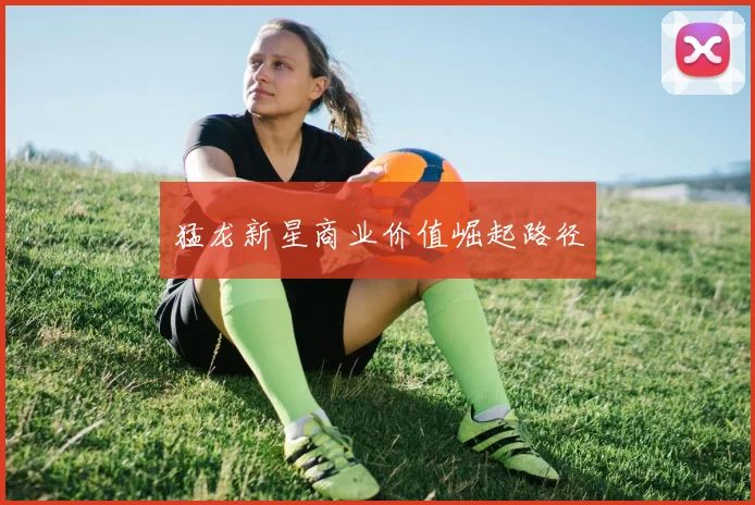 猛龙新星商业价值崛起路径