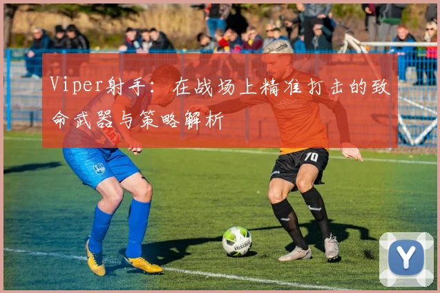 Viper射手：在战场上精准打击的致命武器与策略解析