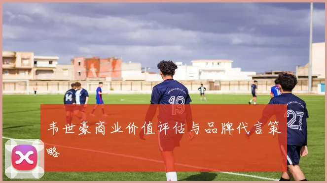 韦世豪商业价值评估与品牌代言策略