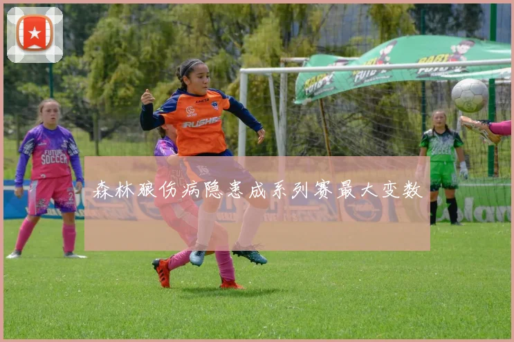 森林狼伤病隐患成系列赛最大变数