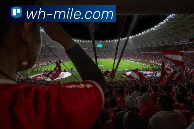 多媒体互动体验